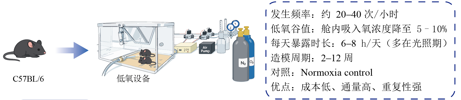 缺氧箱租赁需求（低氧浓度5%-10%，每日6-8小时）